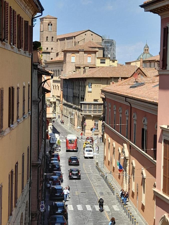 D'Azeglio 62 Luxury Rooms 博洛尼亚 外观 照片